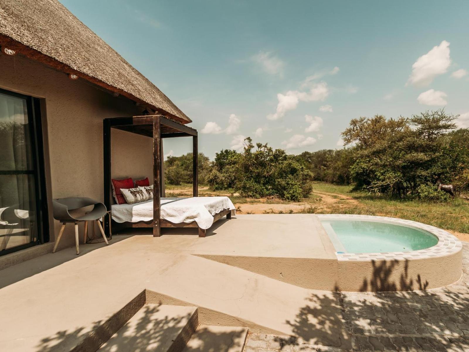 Maroelani Lodge- Greater Kruger Private Reserve هويدزبروت المظهر الخارجي الصورة