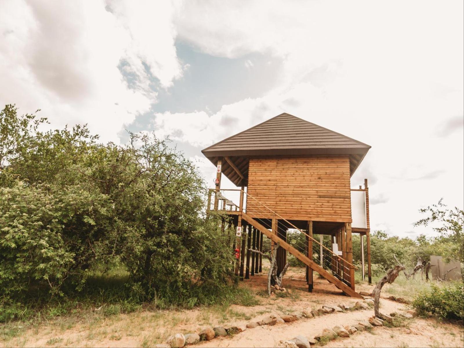 Maroelani Lodge- Greater Kruger Private Reserve هويدزبروت المظهر الخارجي الصورة