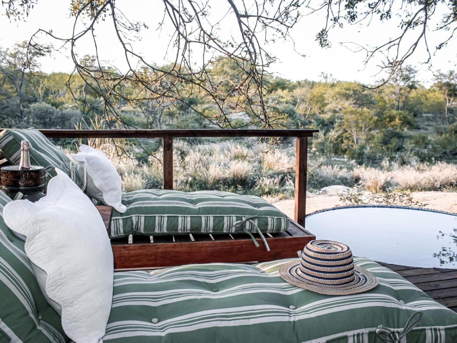 Maroelani Lodge- Greater Kruger Private Reserve هويدزبروت المظهر الخارجي الصورة