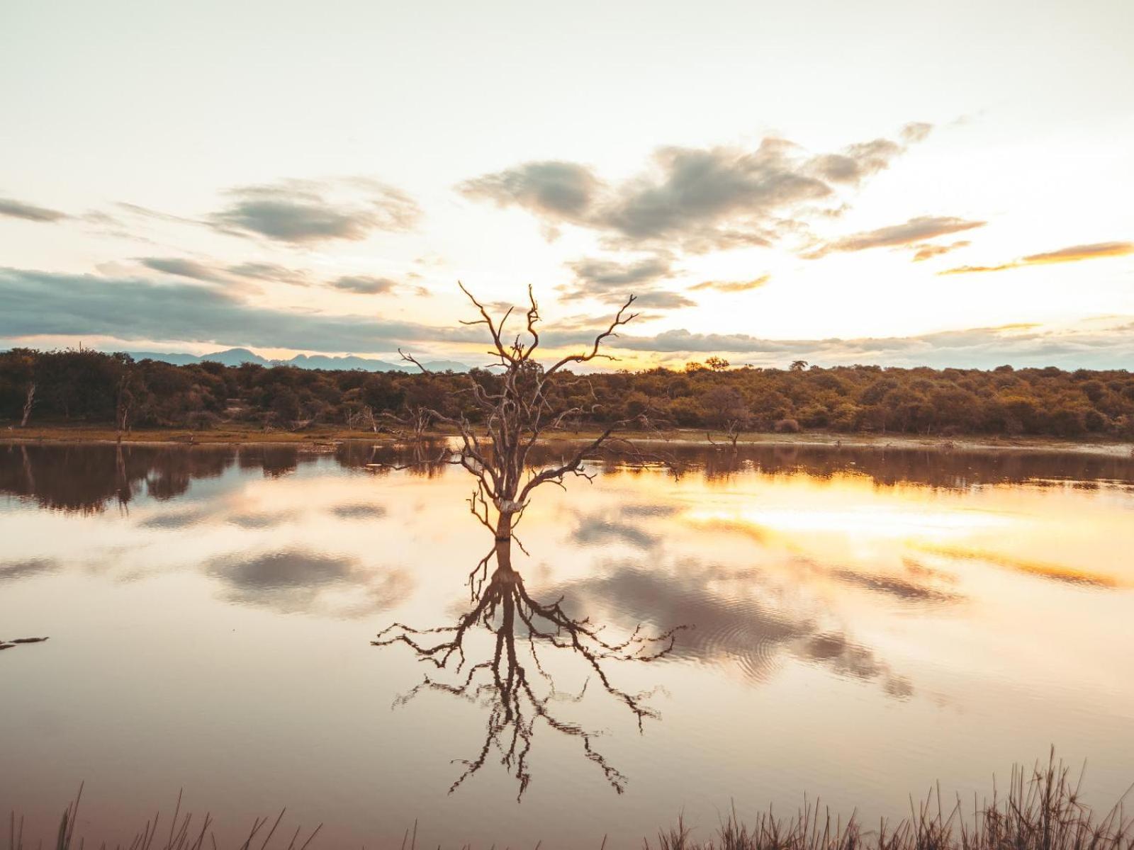 Maroelani Lodge- Greater Kruger Private Reserve هويدزبروت المظهر الخارجي الصورة