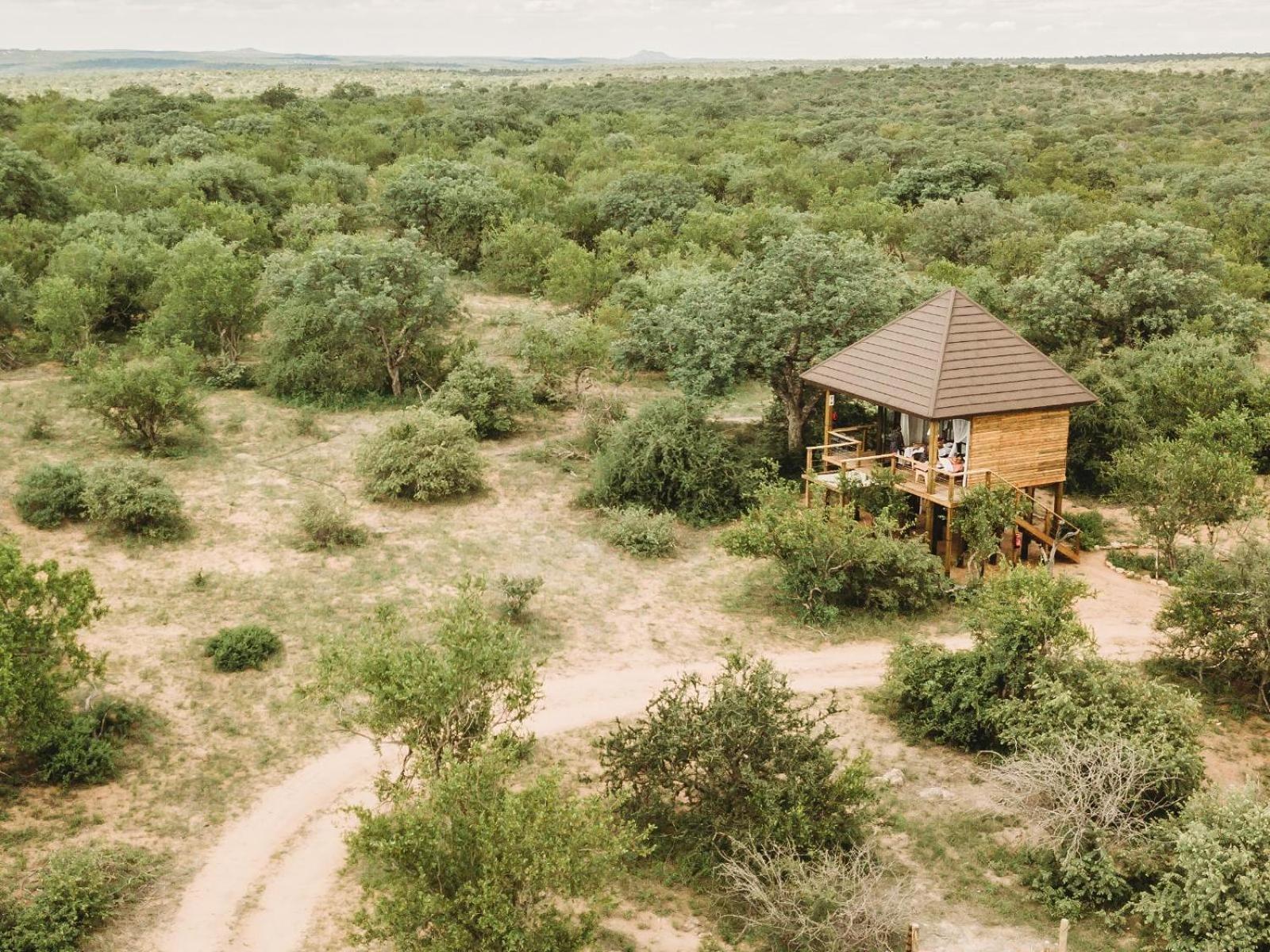 Maroelani Lodge- Greater Kruger Private Reserve هويدزبروت الغرفة الصورة