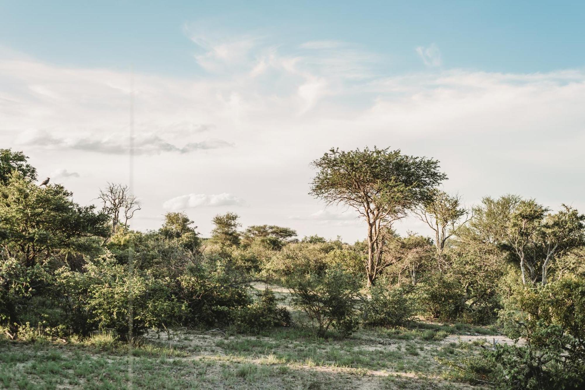 Maroelani Lodge- Greater Kruger Private Reserve هويدزبروت المظهر الخارجي الصورة